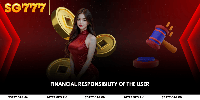 Financial Responsibility of the User